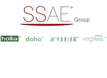 SSAE Group